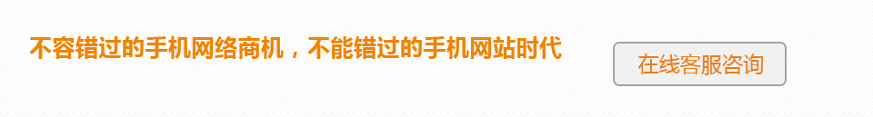 不容錯過的手機網(wǎng)絡(luò)商機，不能錯過的手機網(wǎng)站時代